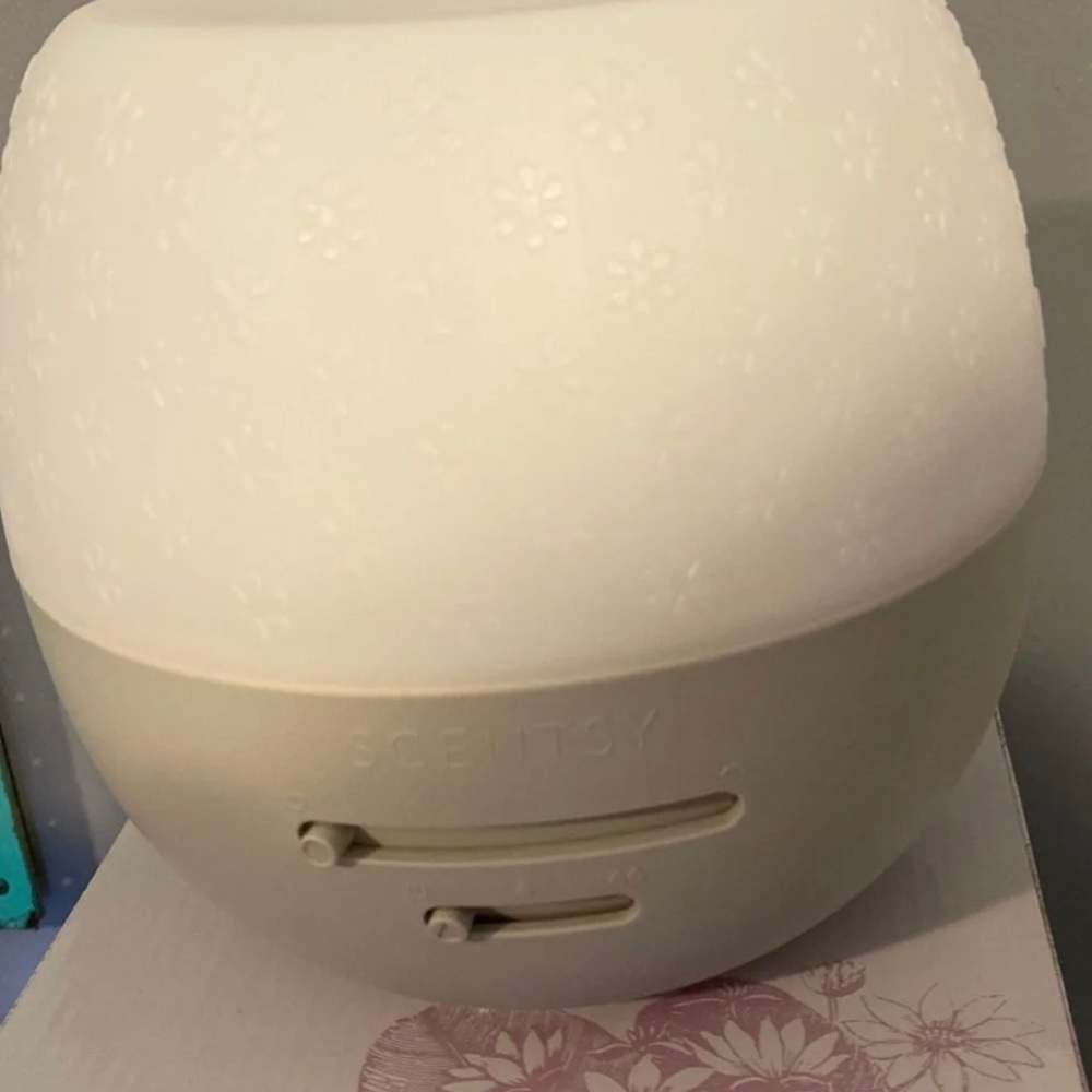 Diffuser - Picture 3 of 5